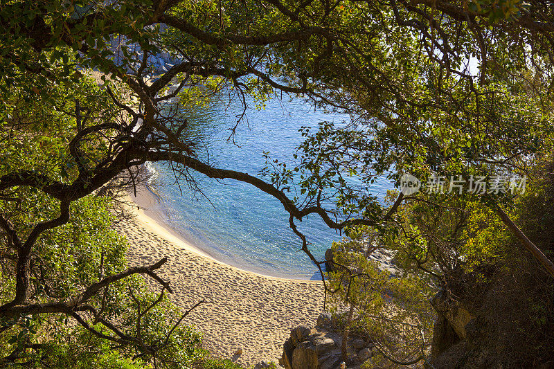 Cala Belladona - Costa Brava - Platja d'Aro(加泰罗尼亚)